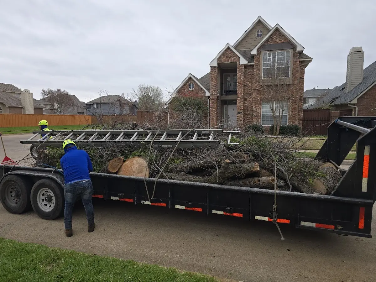 Expert Lot Clearing with proper safety equipment in Twin Oaks